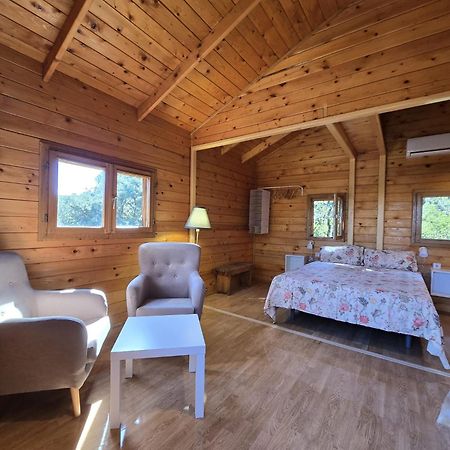 Nuevo Ecolodge Cabaneros Retuerta de Bullaque 외부 사진