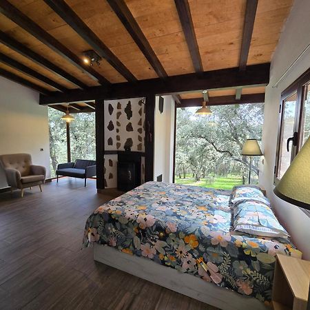 Nuevo Ecolodge Cabaneros Retuerta de Bullaque 외부 사진
