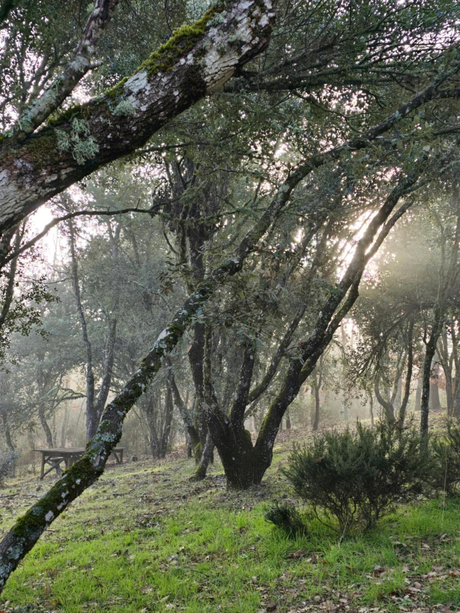 Nuevo Ecolodge Cabaneros Retuerta de Bullaque 외부 사진