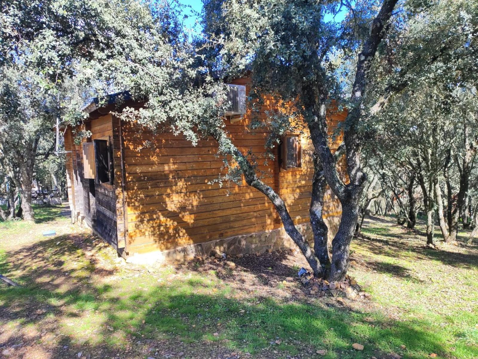 Nuevo Ecolodge Cabaneros Retuerta de Bullaque 외부 사진