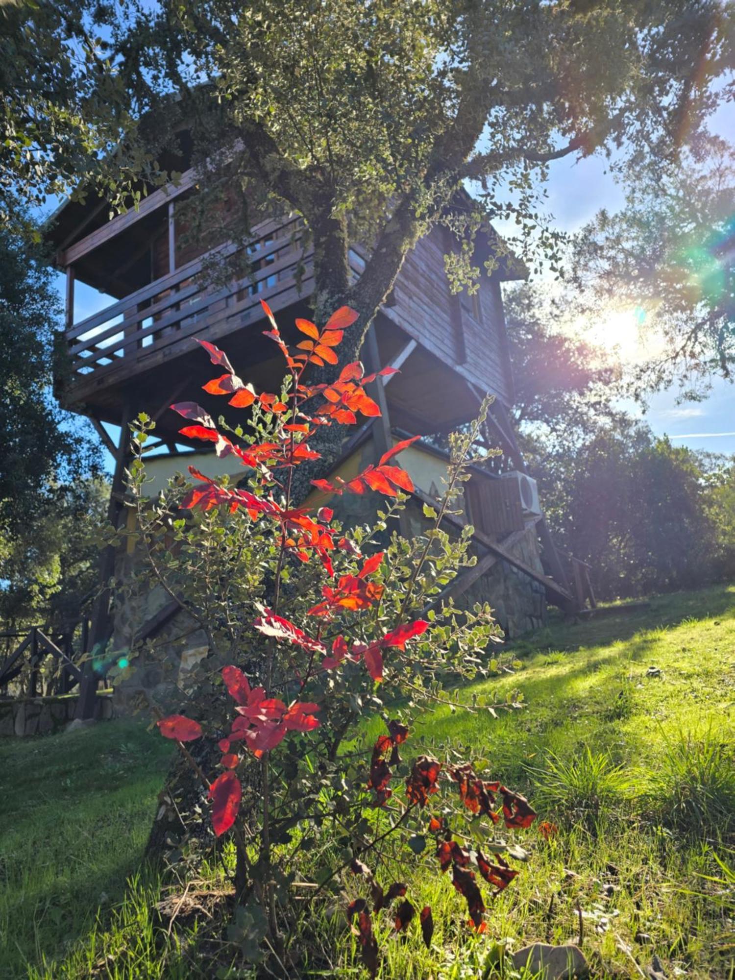 Nuevo Ecolodge Cabaneros Retuerta de Bullaque 외부 사진